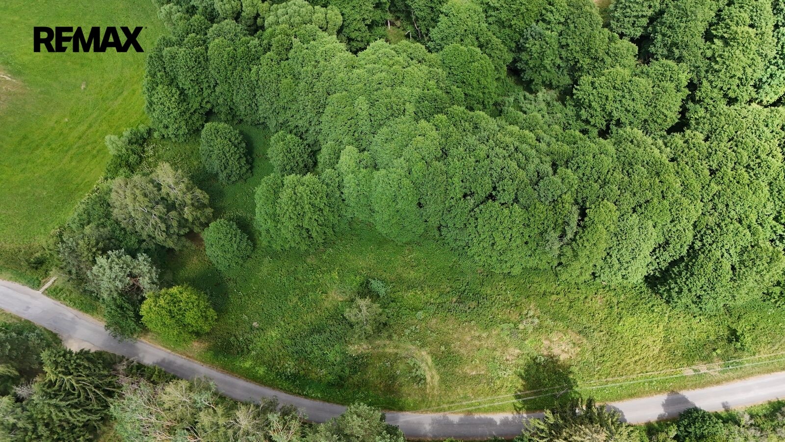 Louky, Borušov, 6 111 m² - 1