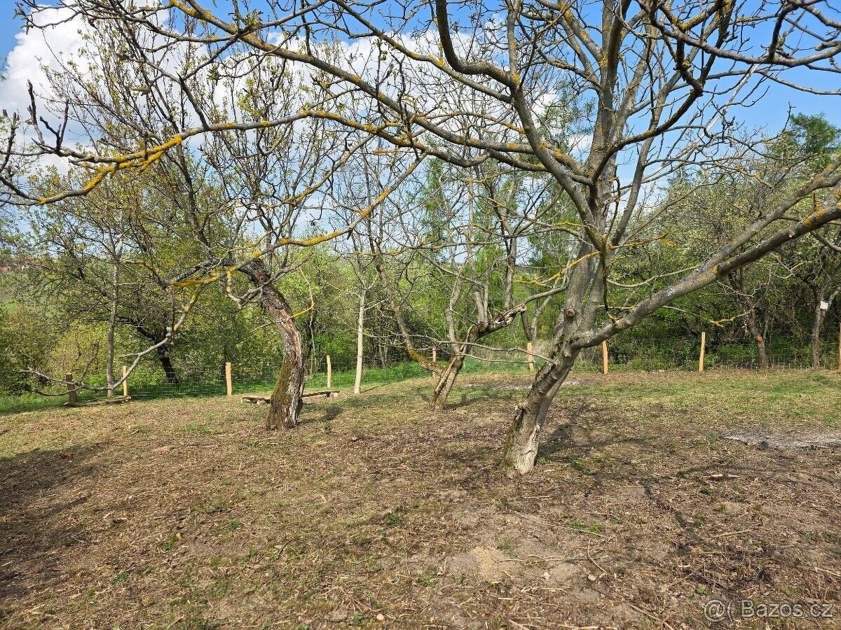 Zahrada, Boršice – pohled 3