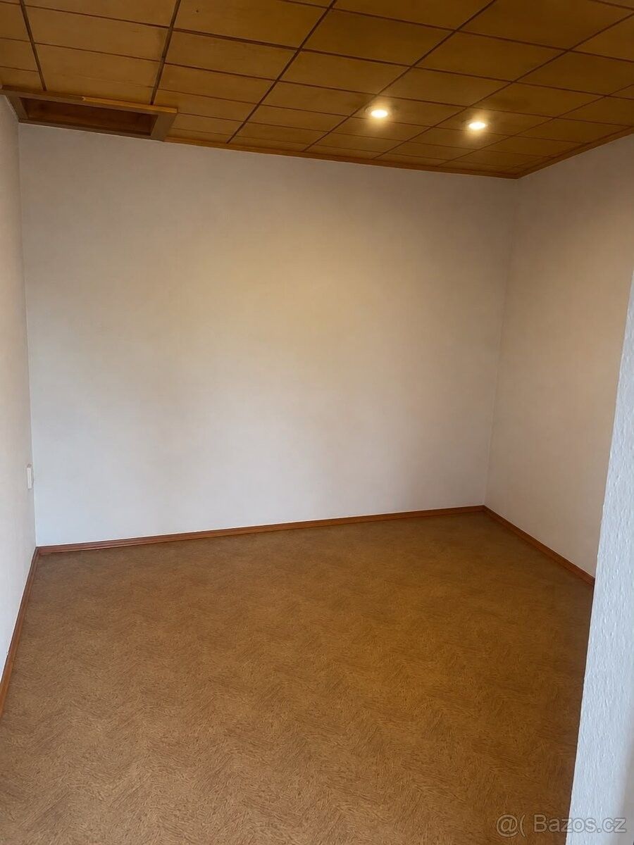 Pronájem zahrada - Kraslice, 358 01 - 5