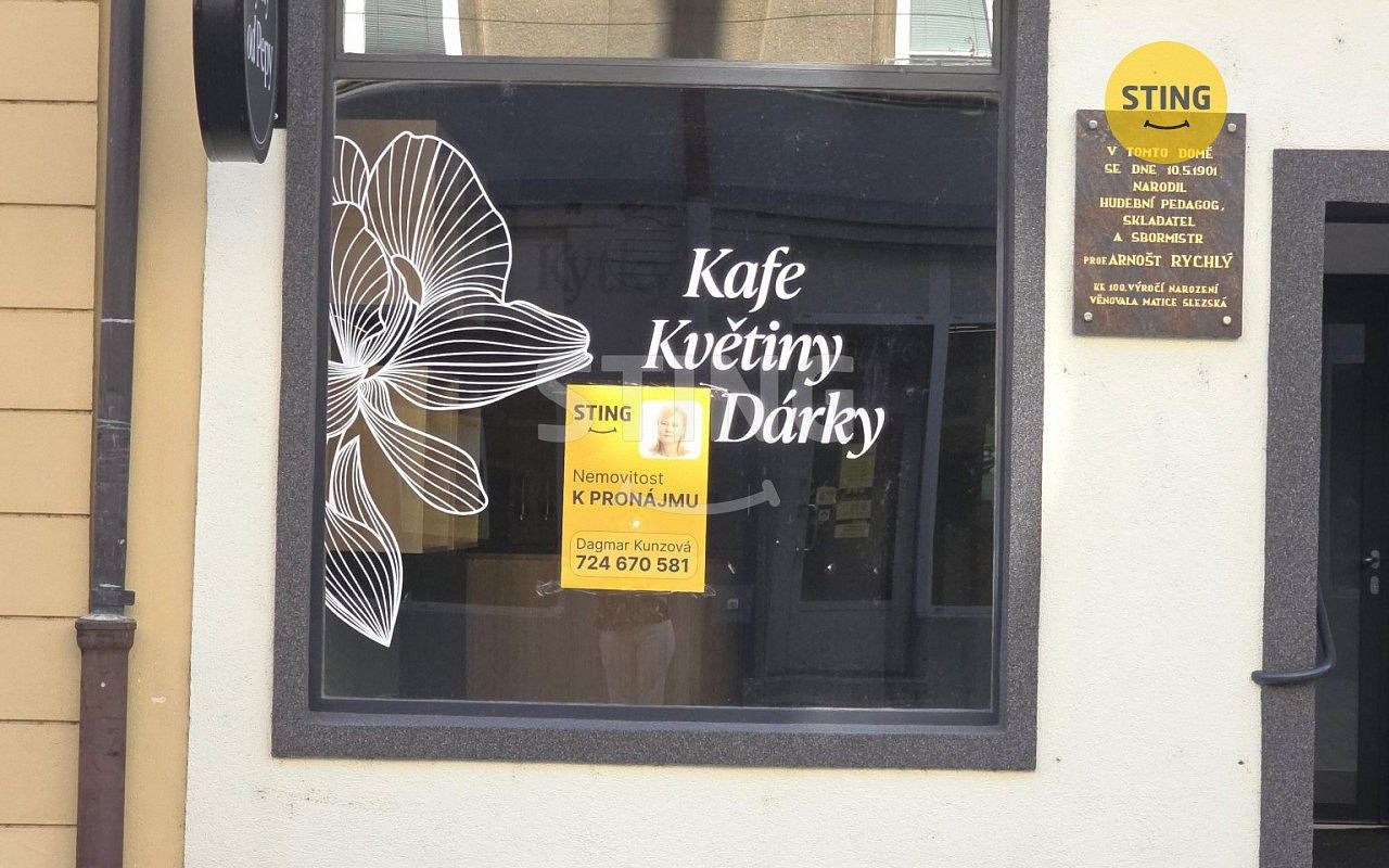 Obchodní prostory, Opava - Město, Moravskoslezský kraj, 35 m² - 1