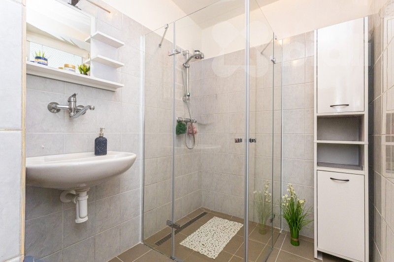 Rodinný dům · 170 m² · Svatoslav - 3