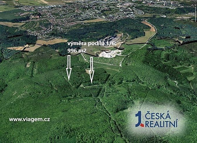 Prodej les - Brno, okres Brno-město, Jihomoravský kraj - 2
