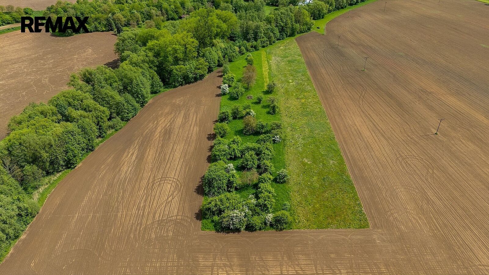Zahrada · Železnice, okres Jičín, Královéhradecký kraj - 4