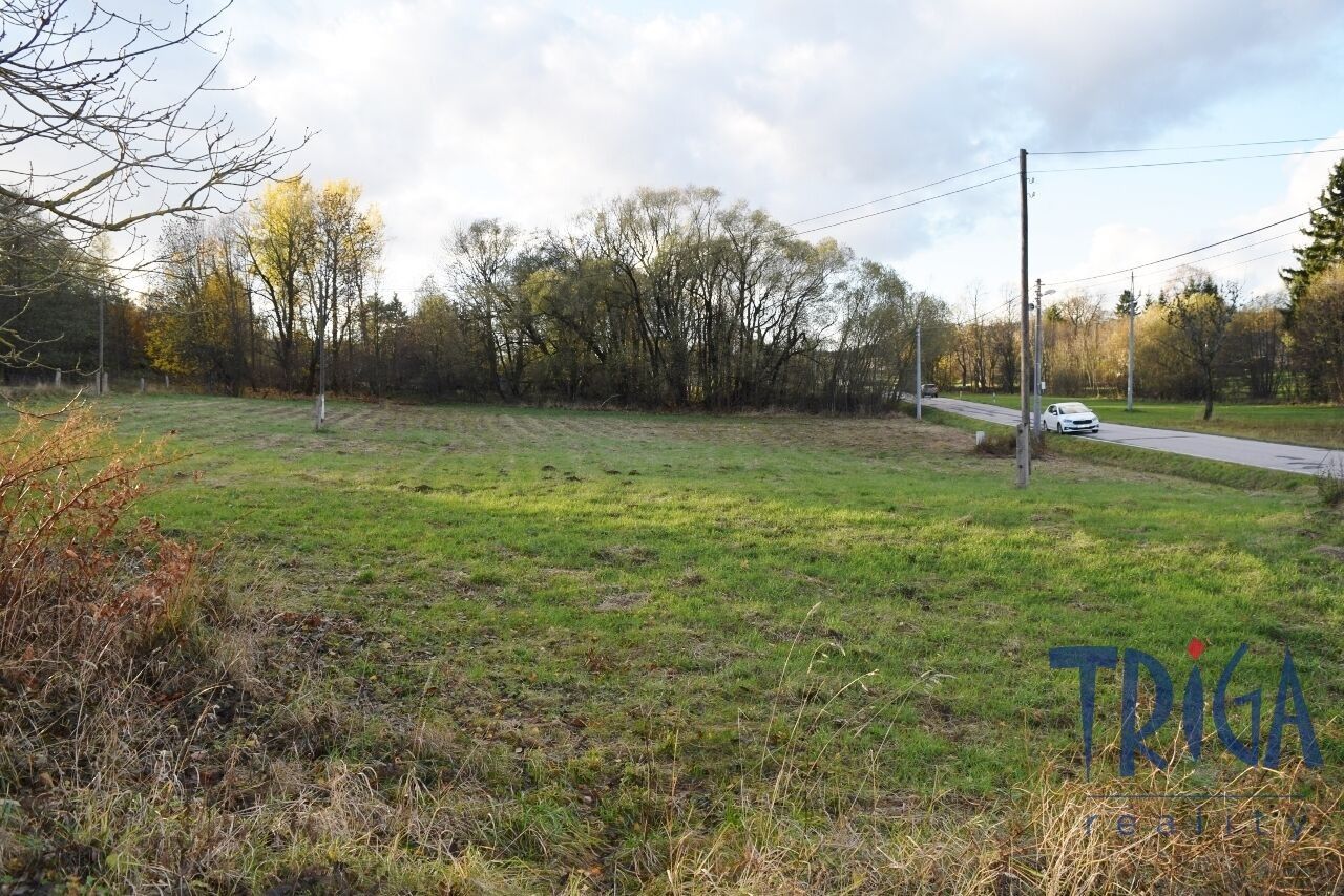 Pozemky pro bydlení, Borovnice, 2 m²