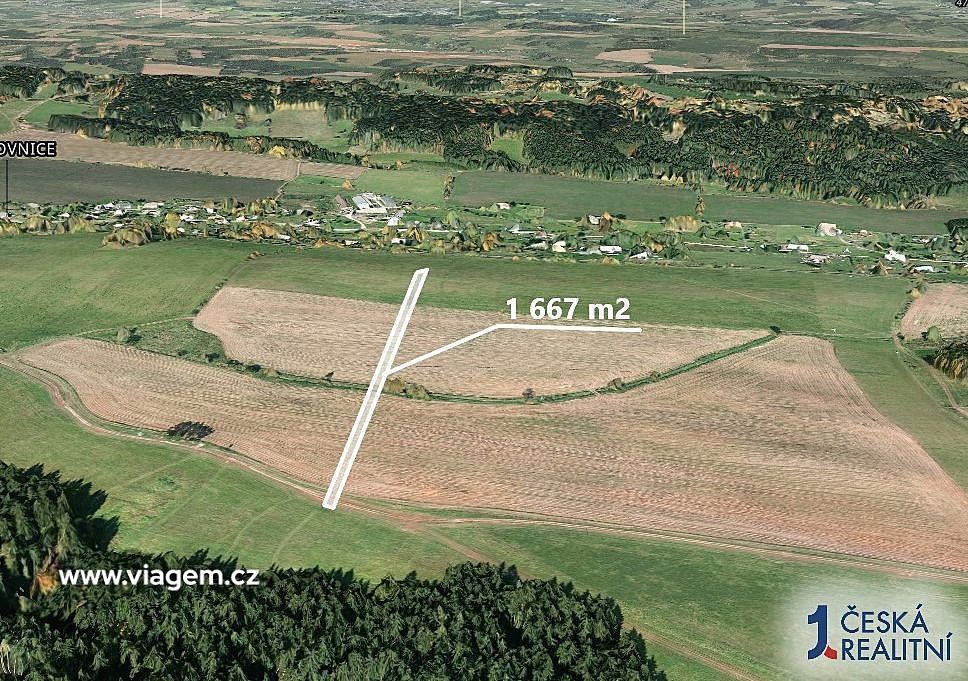 Prodej zemědělský pozemek - Borovnice, okres Trutnov - 2