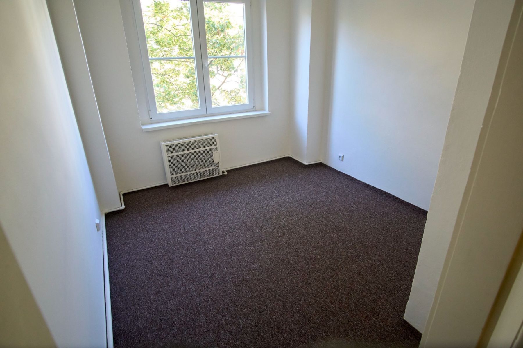 Pronájem byt 3+1 - Biskupcova, Praha - Žižkov, 59 m² - 5