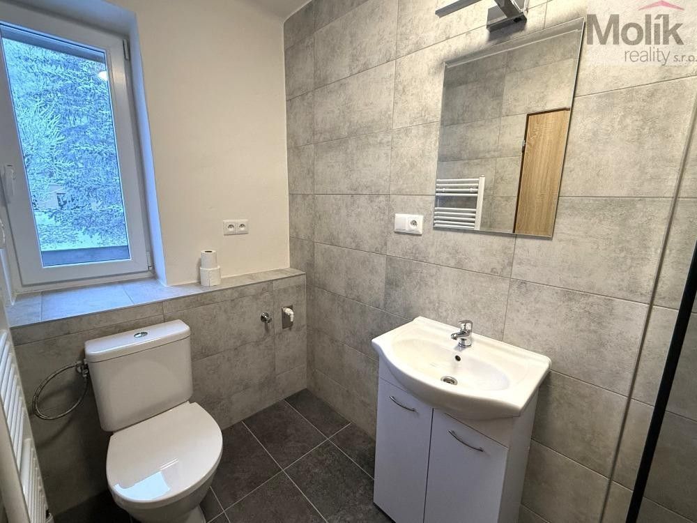 Pronájem byt 3+1 - Pod strání, Meziboří, 56 m²