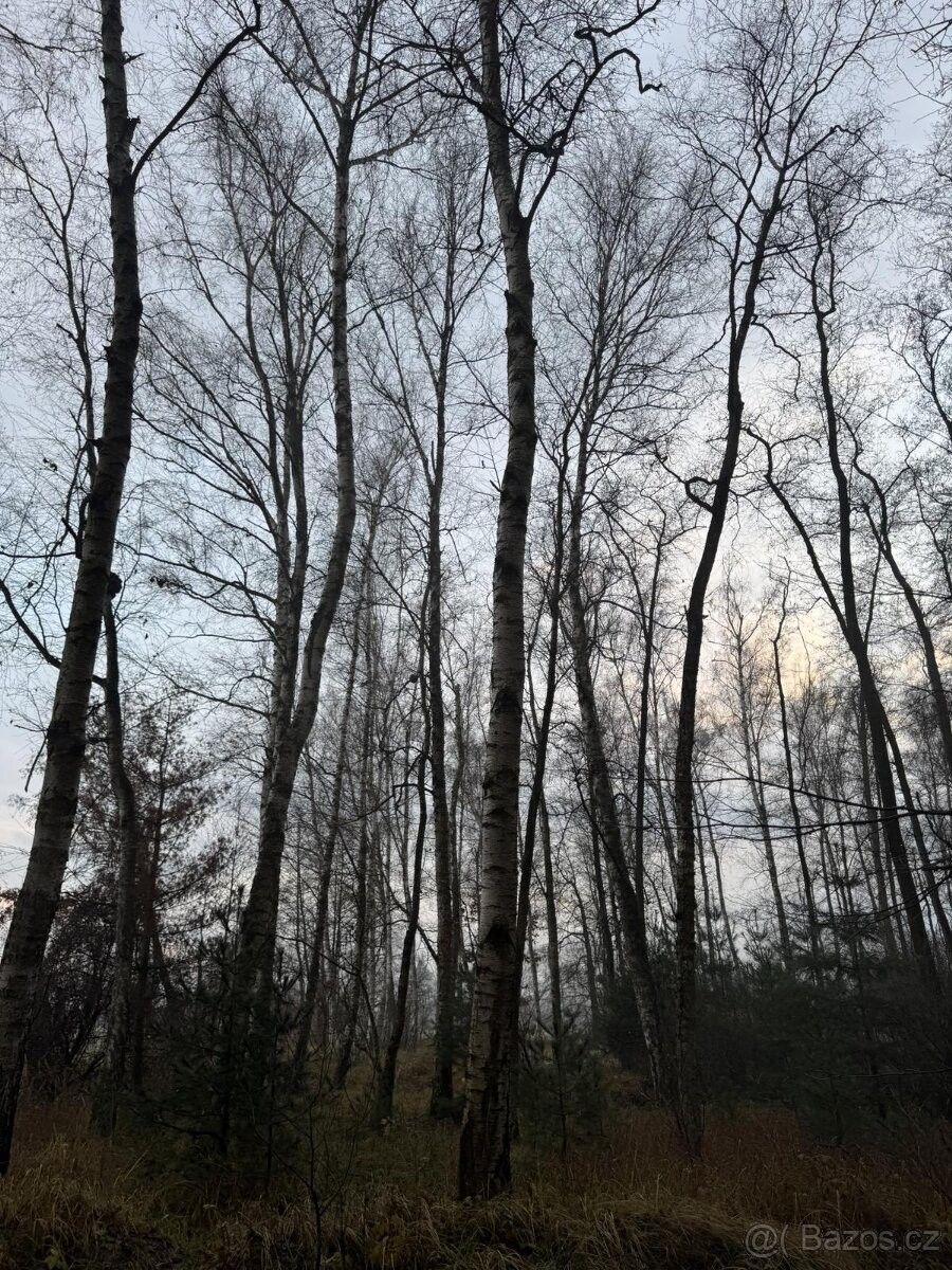 Prodej pozemek pro bydlení - Přelouč, 535 01