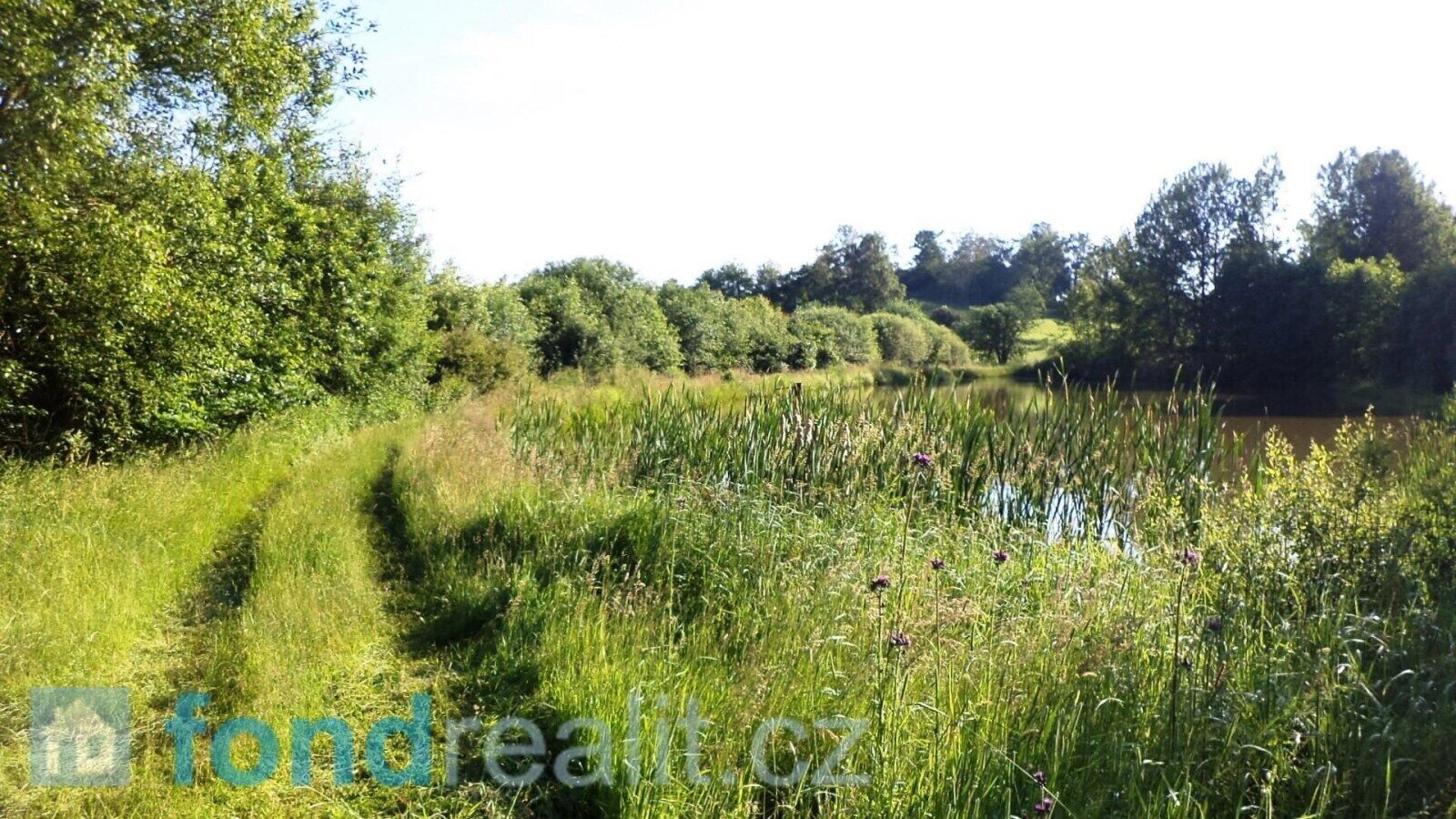 Prodej louka - Hospříz, 9 m²