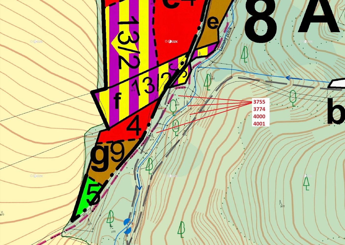 Les · Dobré, okres Rychnov nad Kněžnou, Královéhradecký kraj - 3