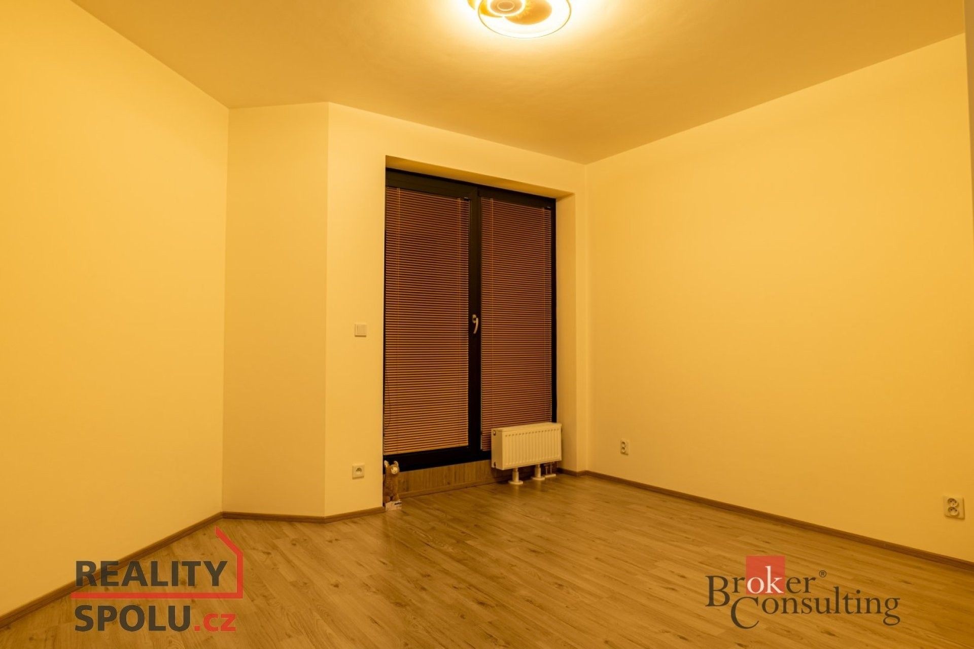 Prodej byt 2+kk - Železná,Plzeň 3,Plzeň, 81 m² - 5