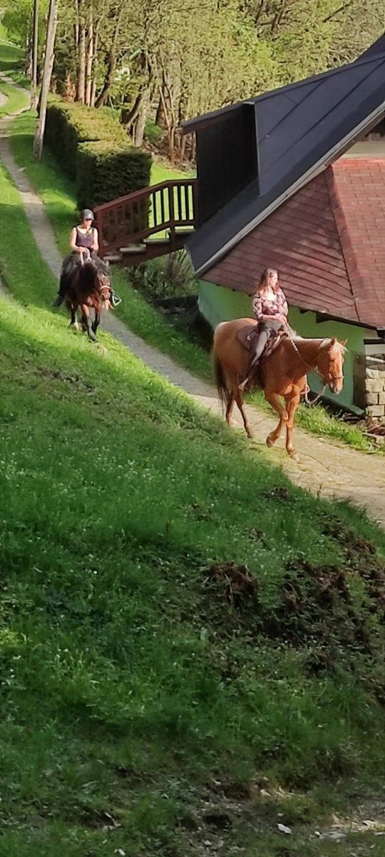 Chata · Rokytnice nad Jizerou - Dolní Rokytnice, Liberecký kraj - 3