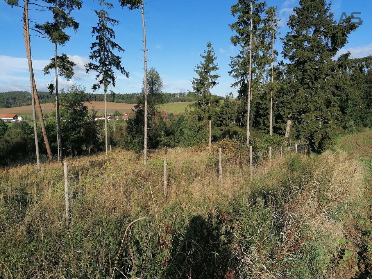 Prodej les - Libouň, Zvěstov, 2 824 m²