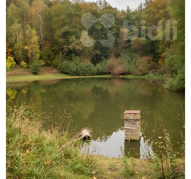 Zahrady, Žlutice - 1