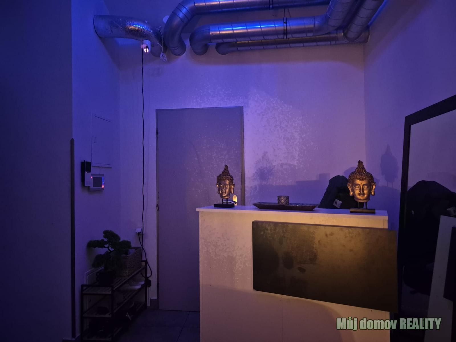 Pronájem obchodní prostory - Václavské náměstí, Praha, 100 m²