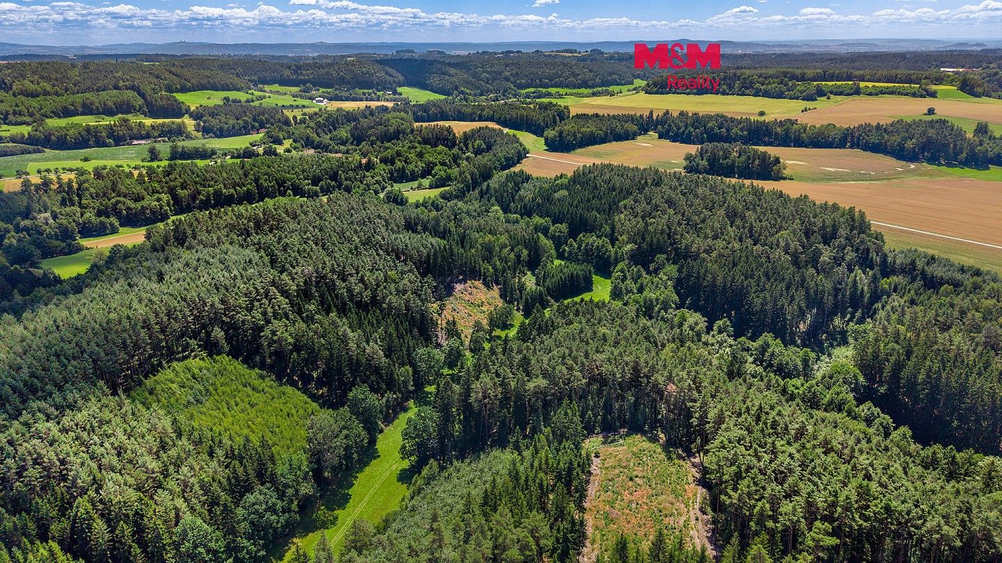 Lesy, Bílá, okres Liberec, Liberecký kraj - 1