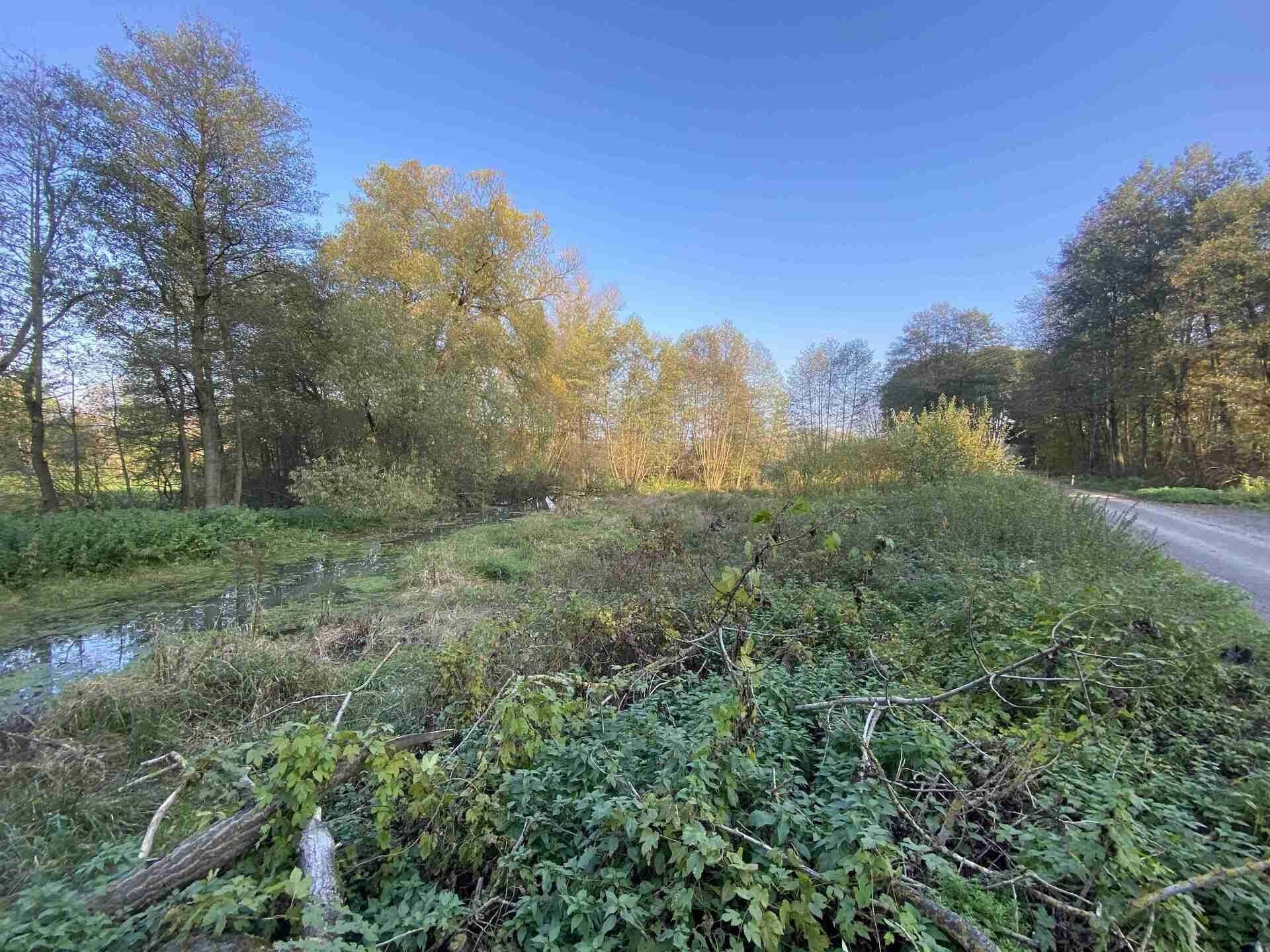 Prodej pozemek - Třebařov, 1 m²