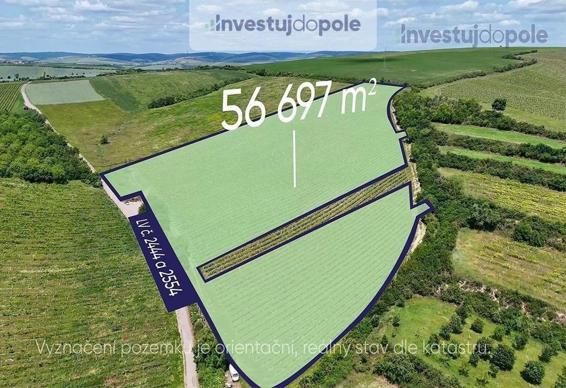 Ostatní, Šardice, 56 697 m²