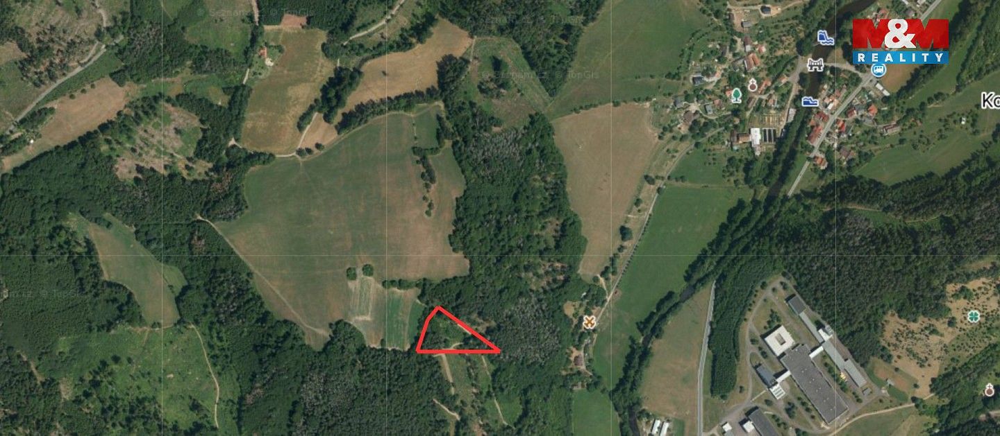 Les · Koroužné, okres Žďár nad Sázavou, Kraj Vysočina - 4