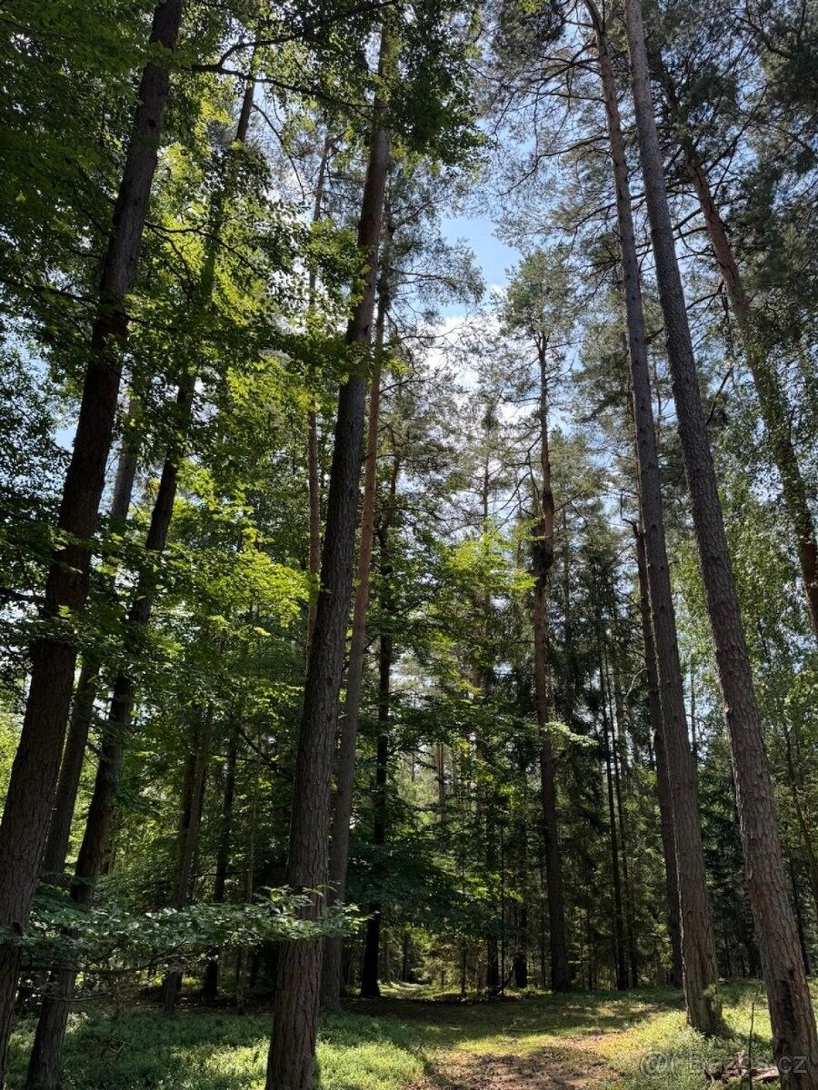 Pozemky pro bydlení, Trhové Sviny, 374 01