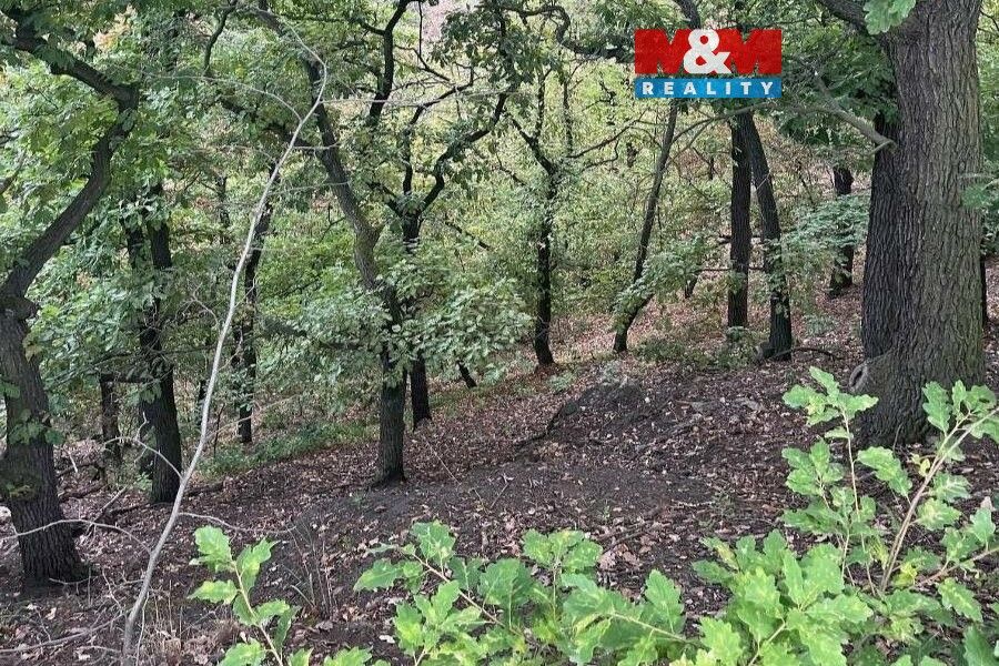 Pozemky pro bydlení, Bílina, 418 01