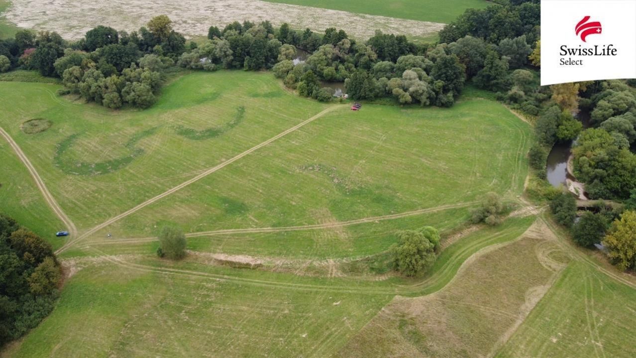 Prodej louka - Borohrádek