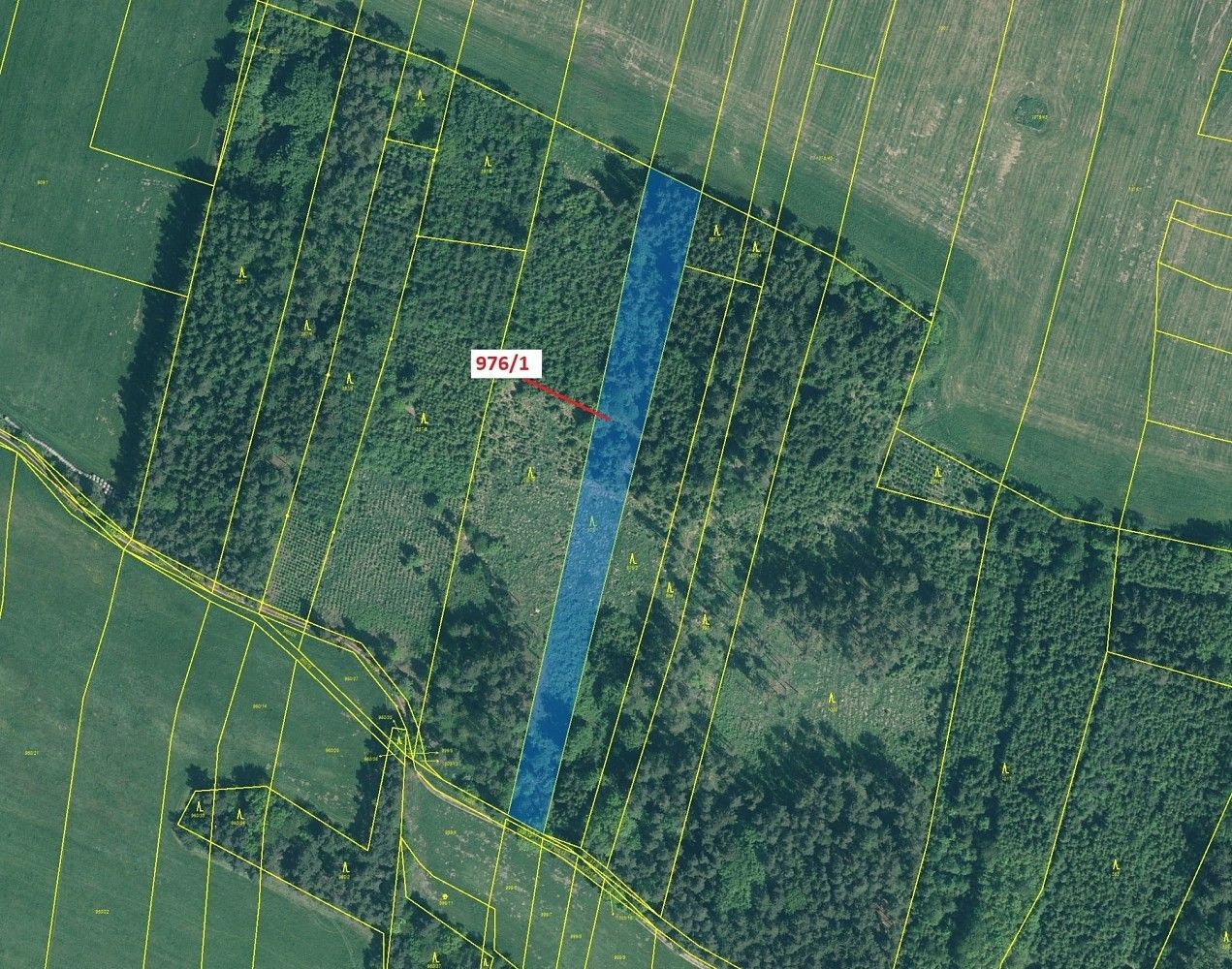 Prodej les - Záhoří, okres Písek, Jihočeský kraj - 2