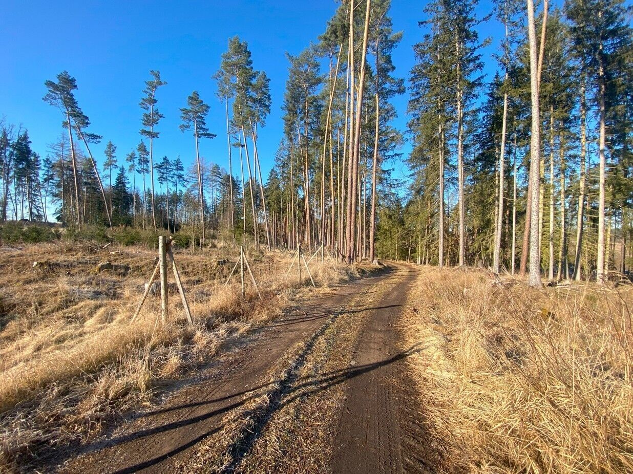 Prodej pozemek - Klíčov, Kočov, 3 m²