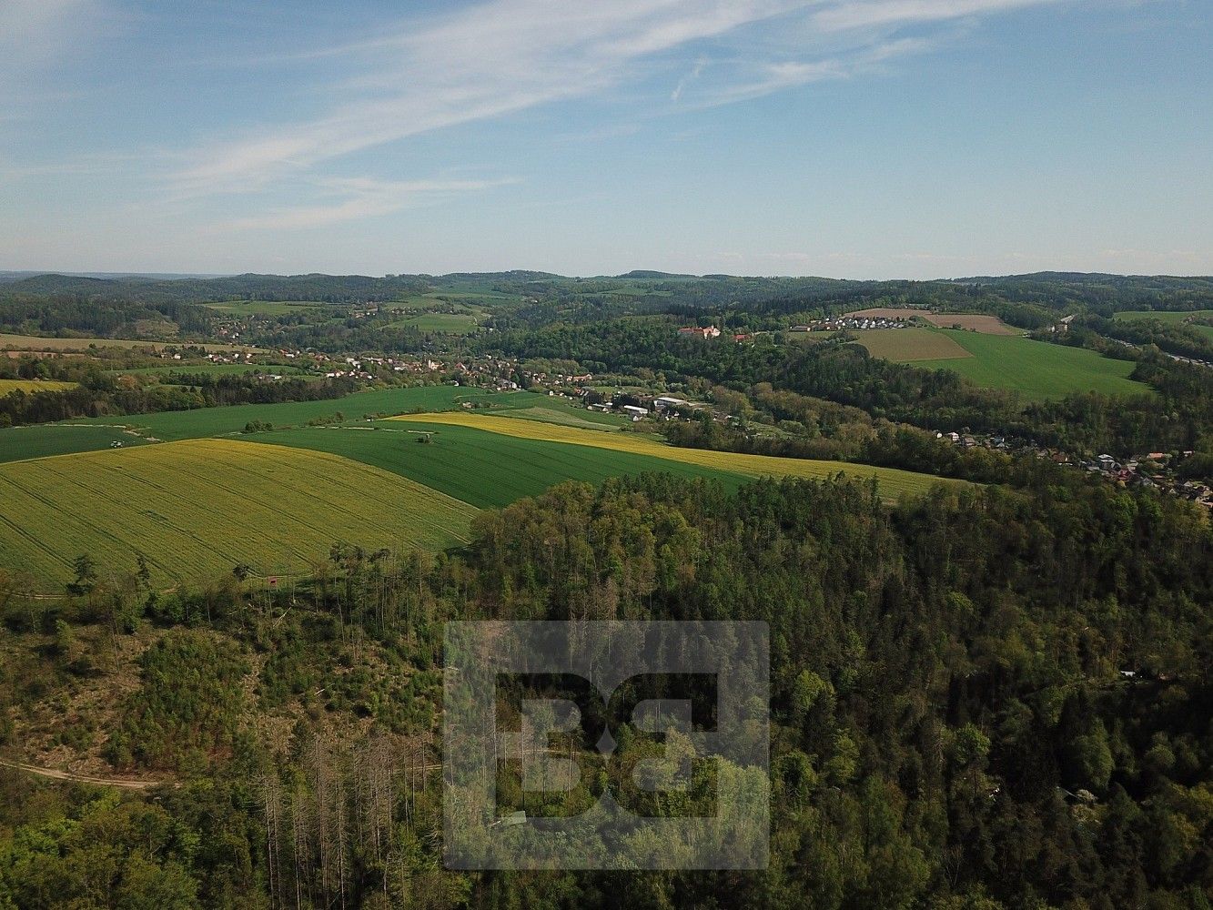 Les · Chocerady, okres Benešov, Středočeský kraj - 3