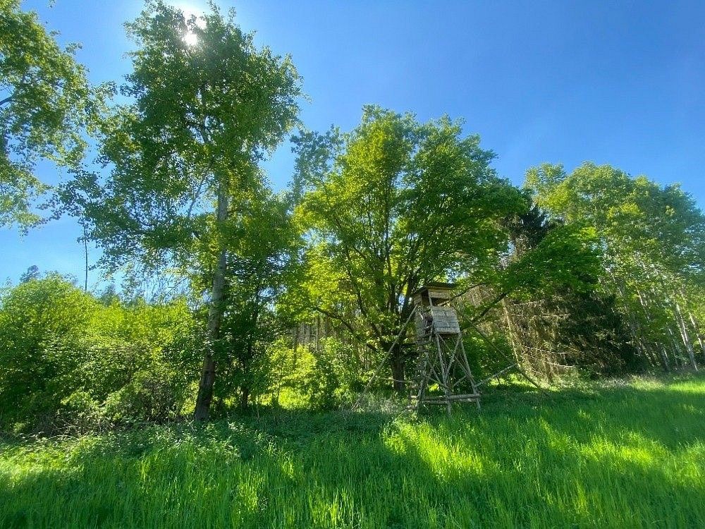 Les, 22 535 m²