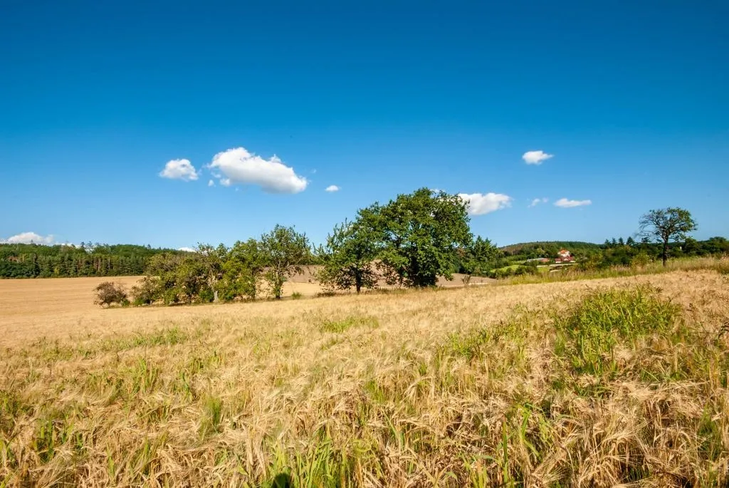 Ostatní