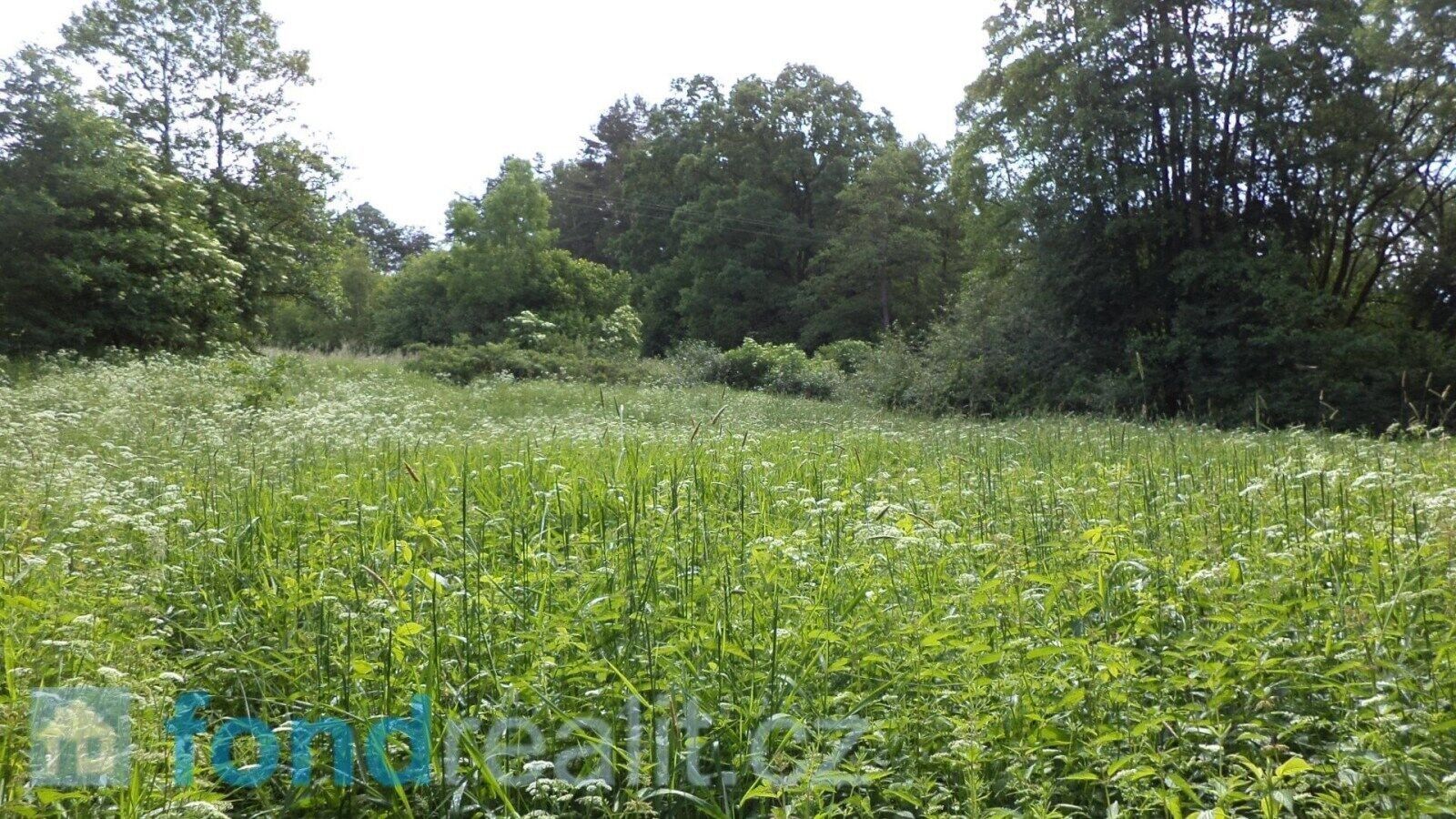 Prodej zemědělský pozemek - Lhota, Číměř, 3 m²