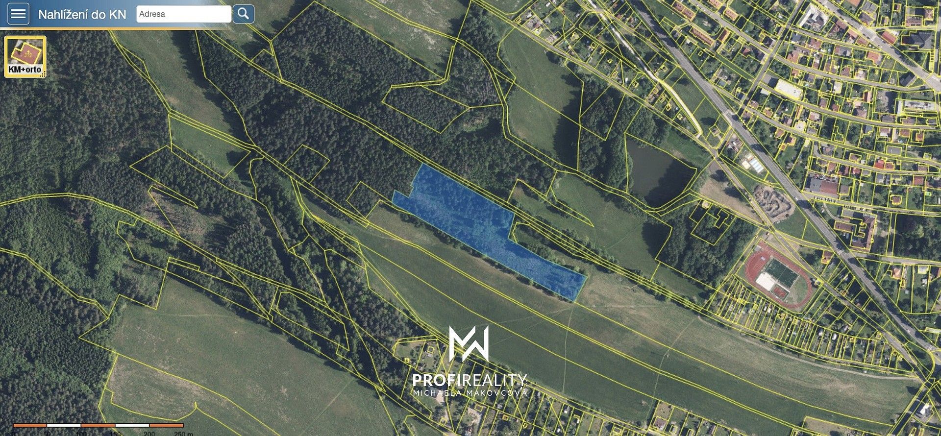 Les · Cvikov, okres Česká Lípa, Liberecký kraj - 1