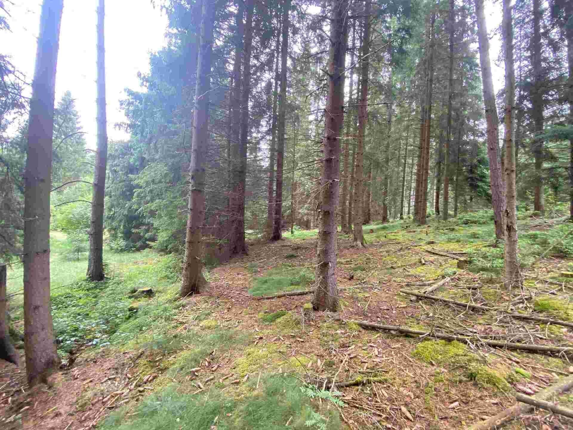 Zemědělský pozemek · 1 440 m² · Krásná - 3