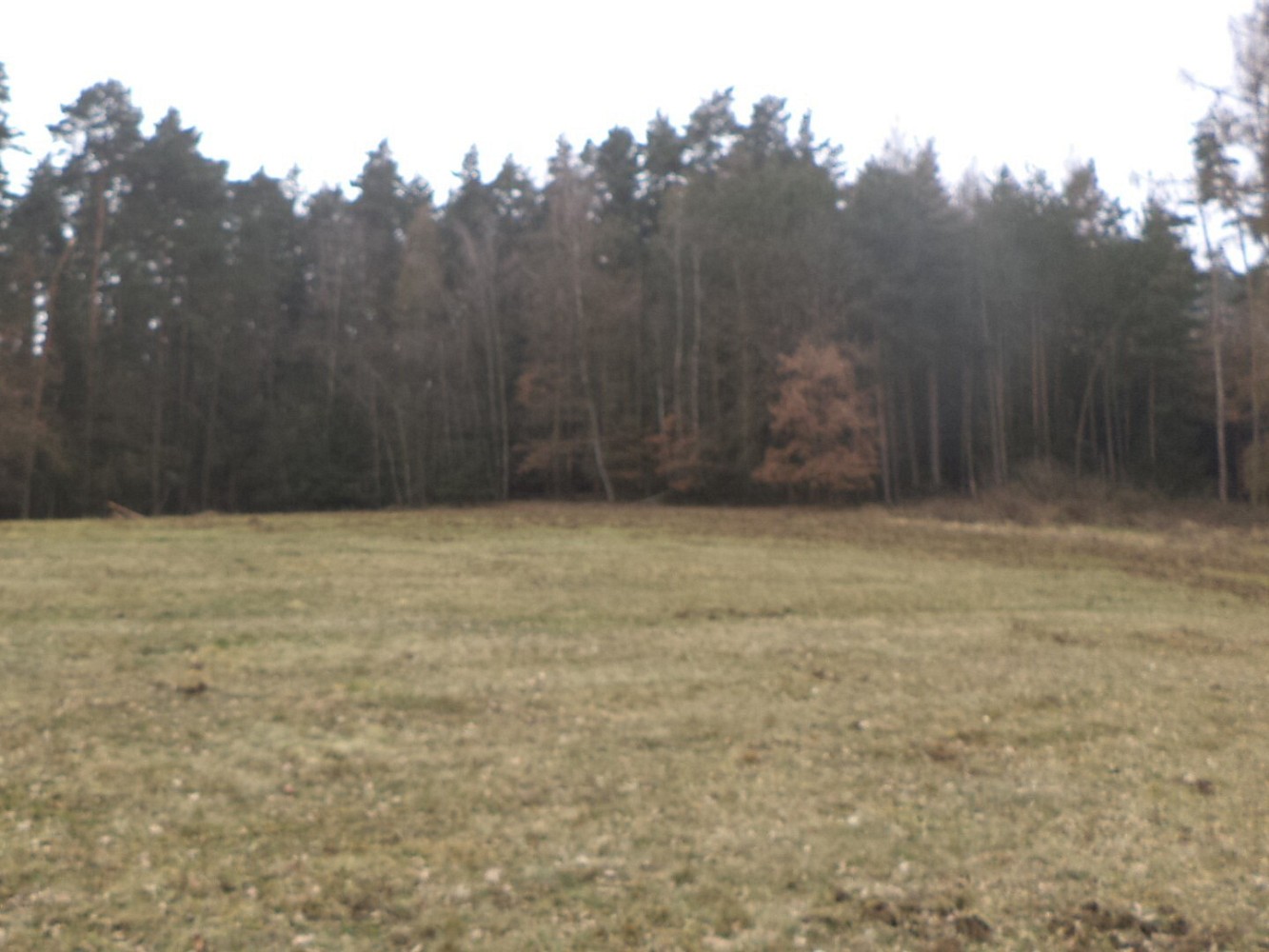 Zemědělské pozemky, Zvěstov - 2