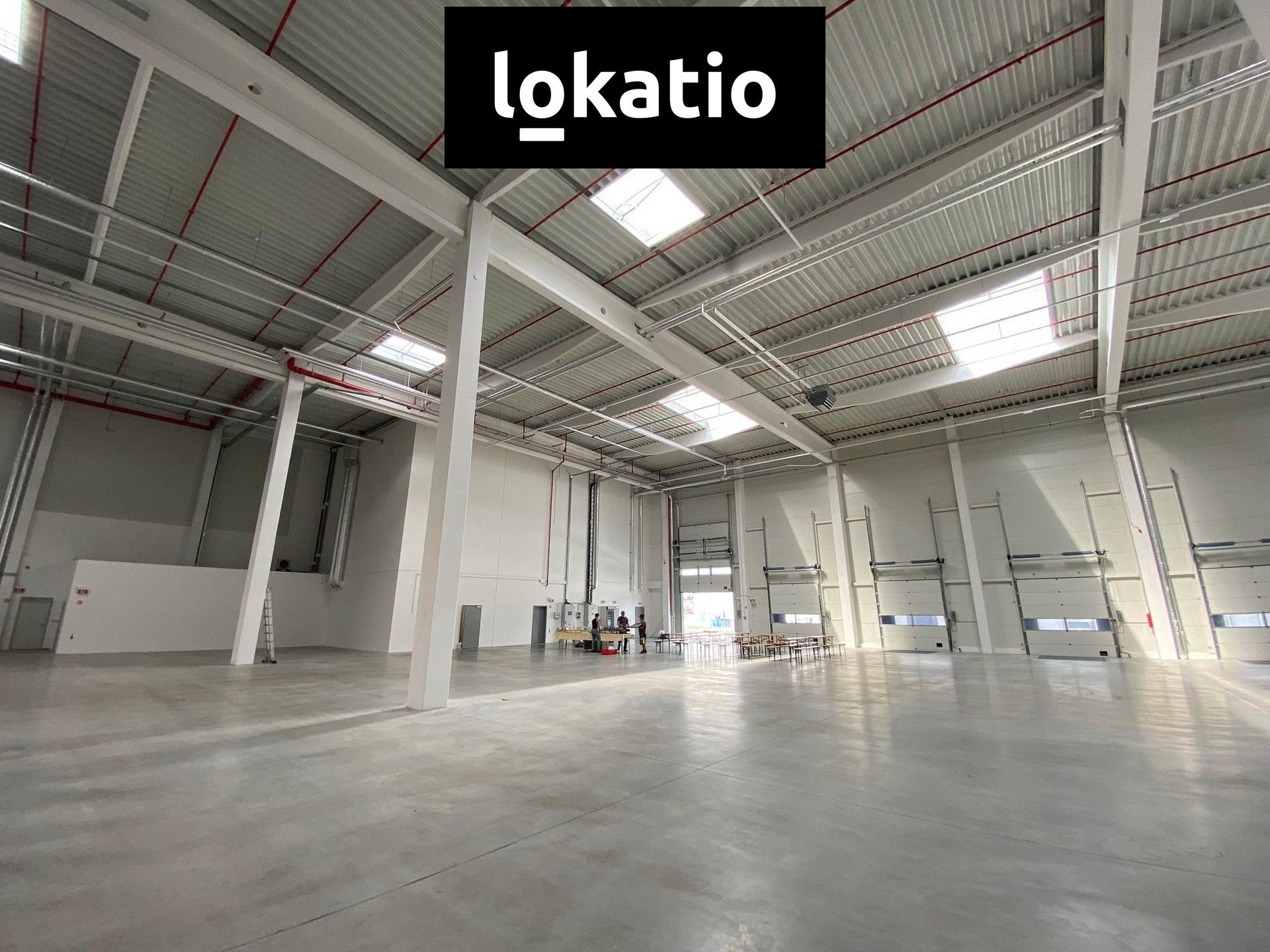 Pronájem sklad - Vítkovice, Ostrava, 4 323 m² - 5