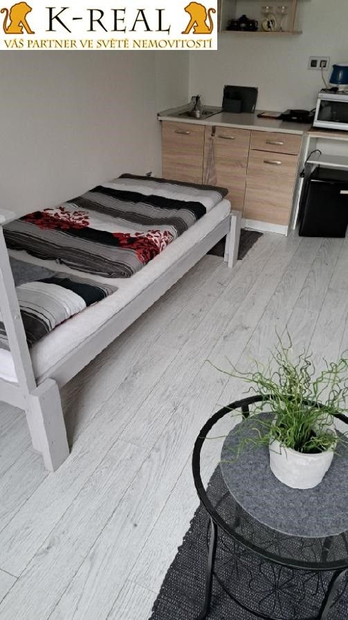 Pronájem byt 1+kk - Brno-Bosonohy, 24 m² - 5