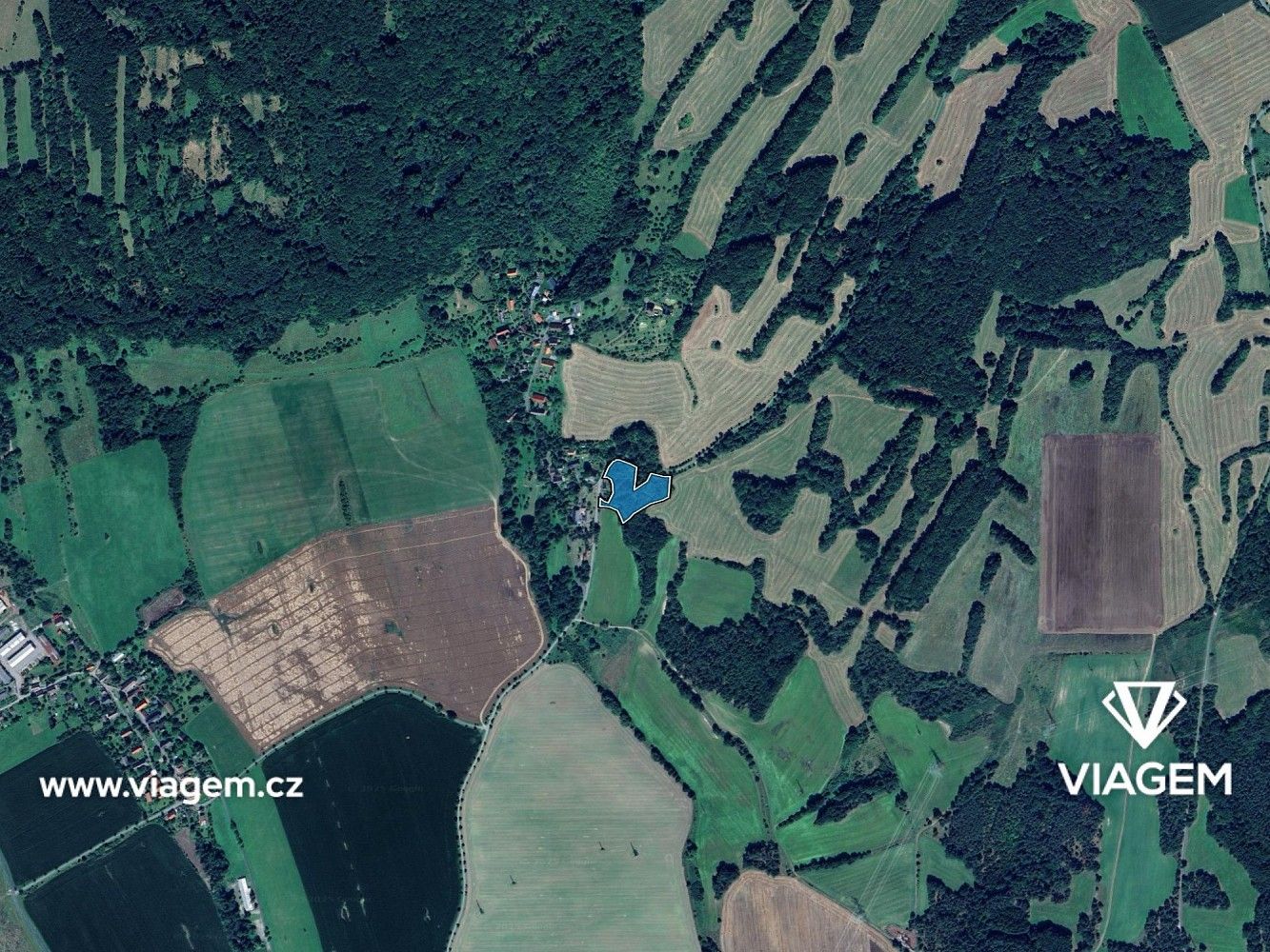 Les · Kravaře, okres Česká Lípa, Liberecký kraj - 3