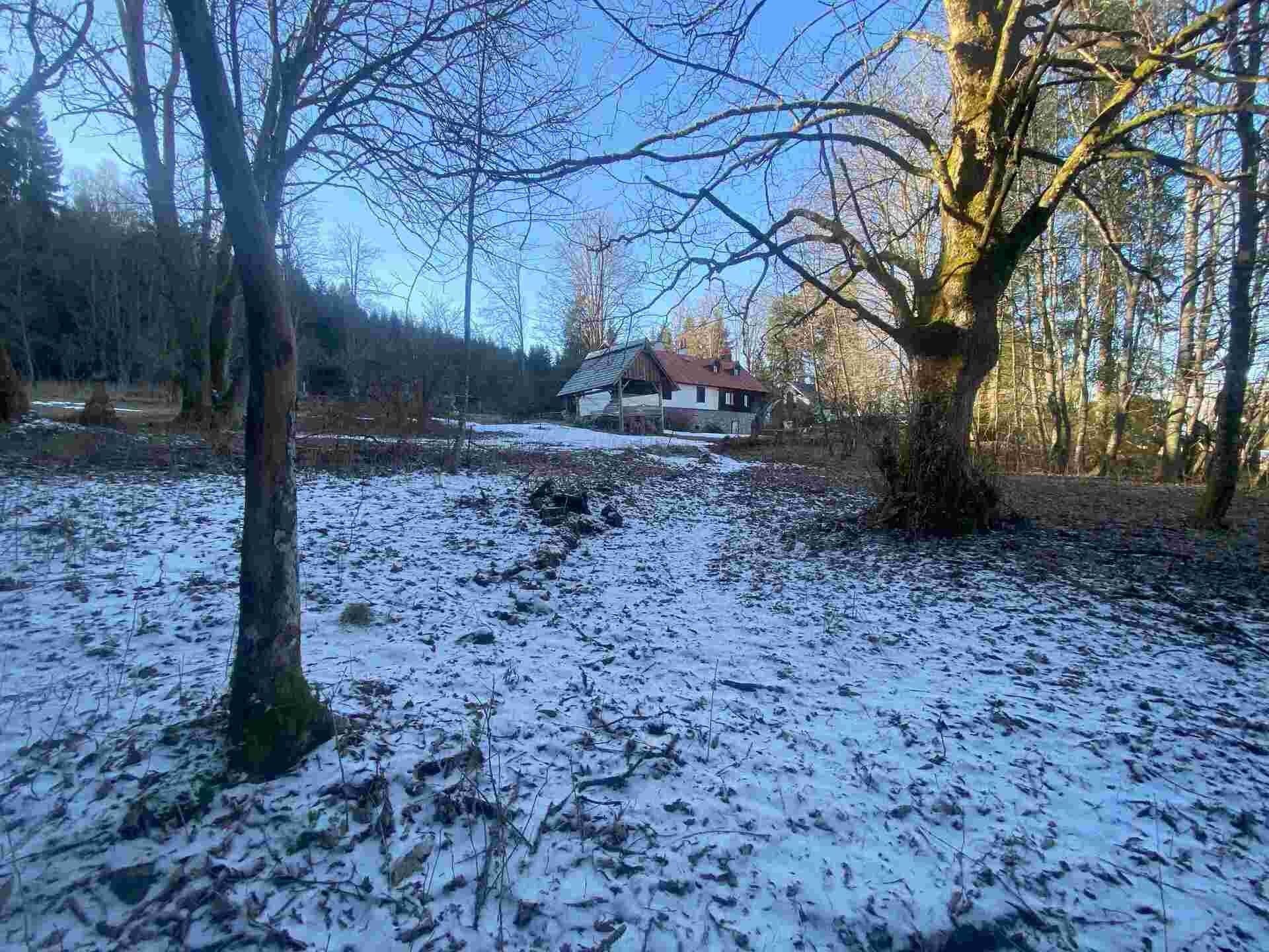 Pozemek · 2 391 m² · Čachrov Javorná - 4