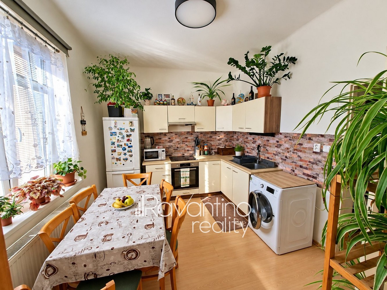 1+1, Charbulova, Brno - Černovice, 38 m² - 2