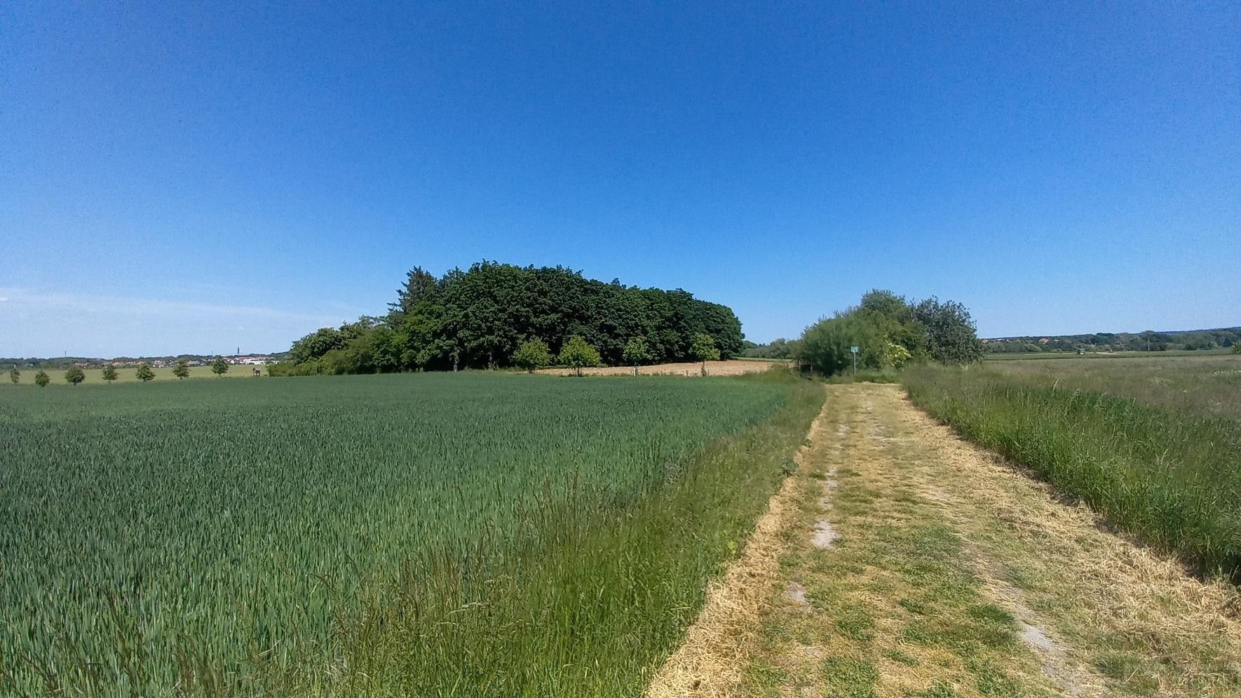 Prodej zemědělský pozemek - Říčanská, Čestlice, 480 m²