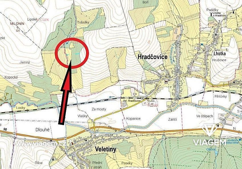 Les · Hradčovice, okres Uherské Hradiště, Zlínský kraj - 4