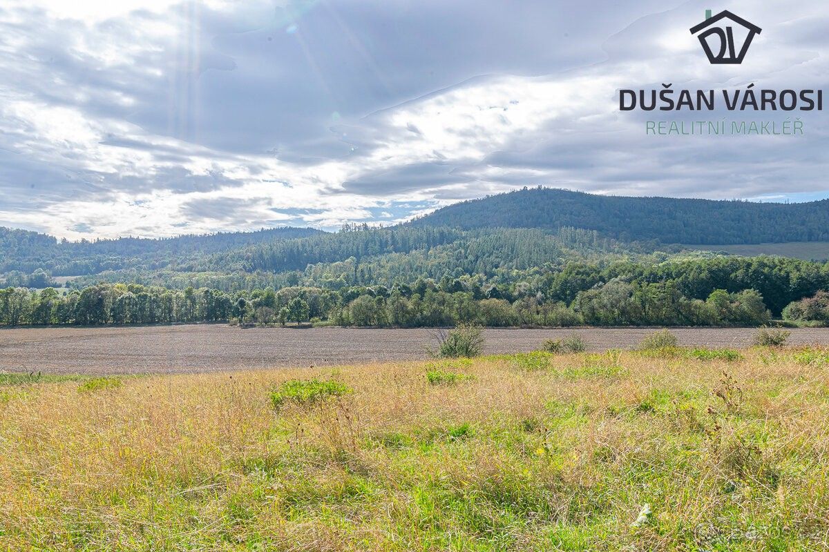 Pozemky pro bydlení, Město Albrechtice, 793 95