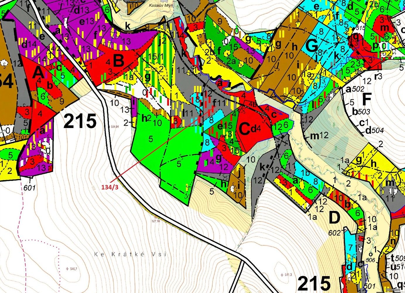 Les · Žižkovo Pole, okres Havlíčkův Brod, Kraj Vysočina - 3