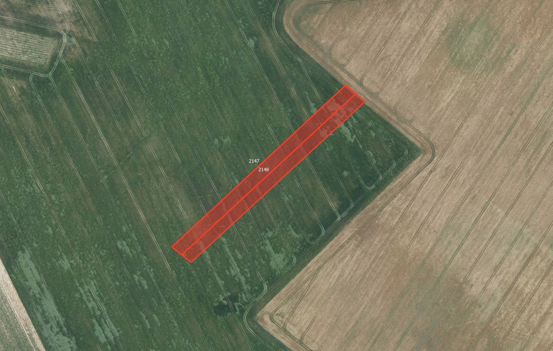 Prodej zemědělský pozemek - Určice