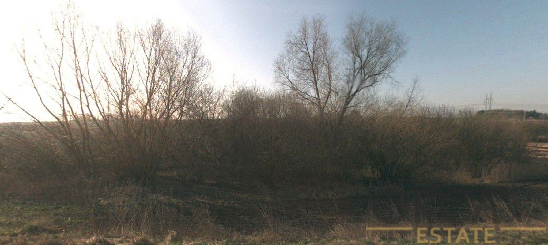 Lesy, Stařechovice, okres Prostějov, Olomoucký kraj - 2