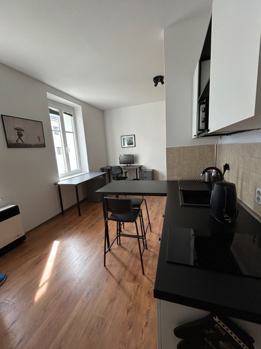 1+kk, Dělnická, České Budějovice - České Budějovice 5, Jihočeský kraj, 34 m² - 2