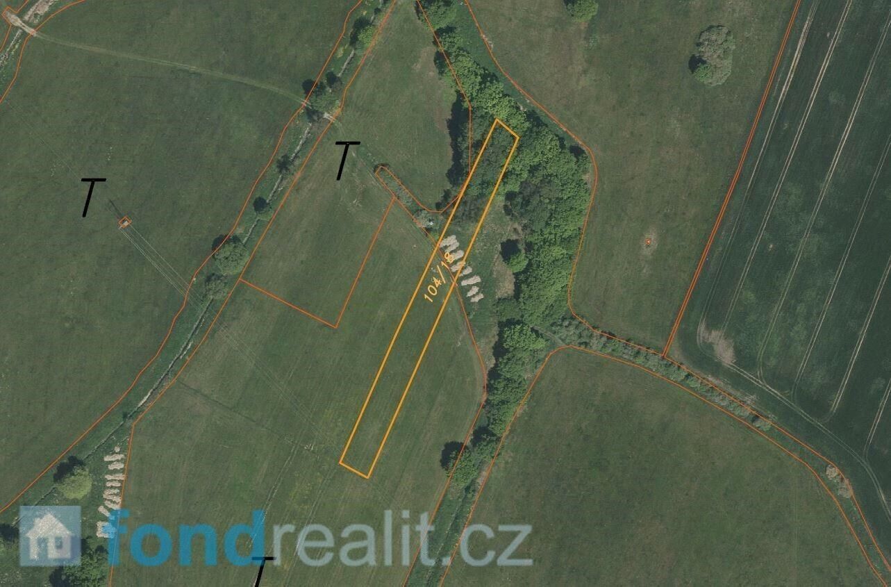 Prodej zemědělský pozemek - Česká Lhota, Dívčice, 3 m²