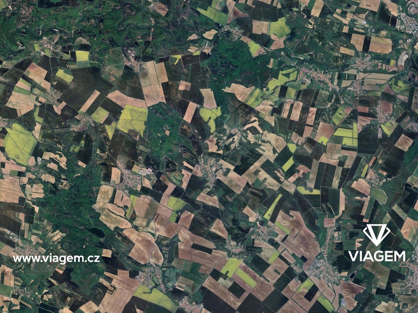 Prodej zemědělský pozemek - Trstěnice, okres Znojmo, Jihomoravský kraj - 5
