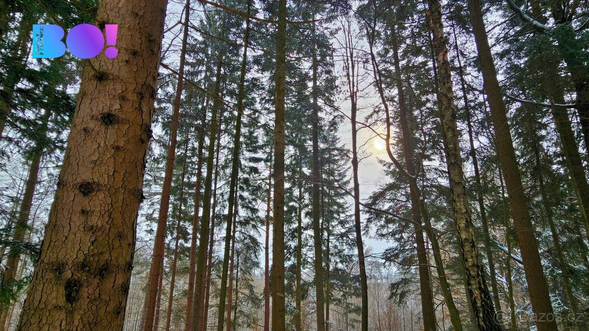 Pozemky pro bydlení, Liptál, 756 31